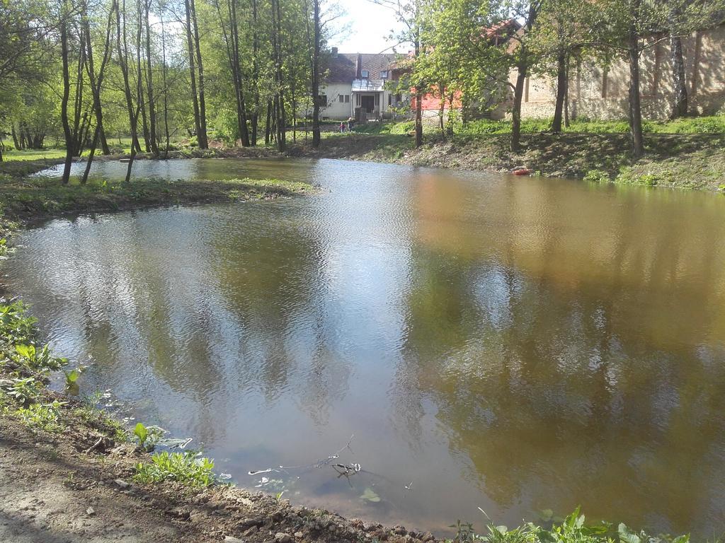 Kypruv Mlyn Villa Kninice Bagian luar foto